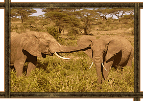 tanzania travel industry