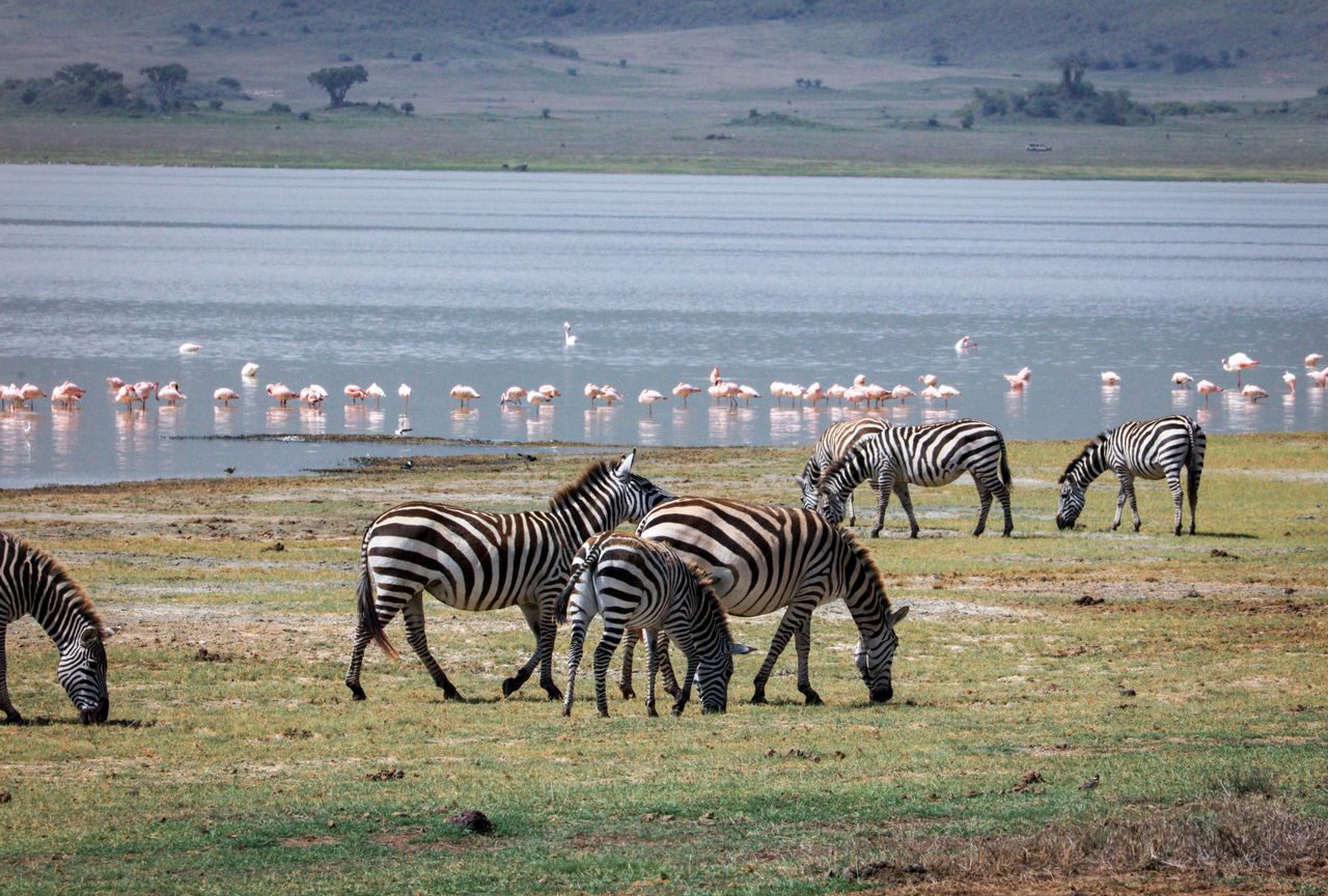 lake manyara