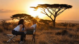safari honeymoon december