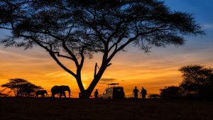tanzania november honeymoon