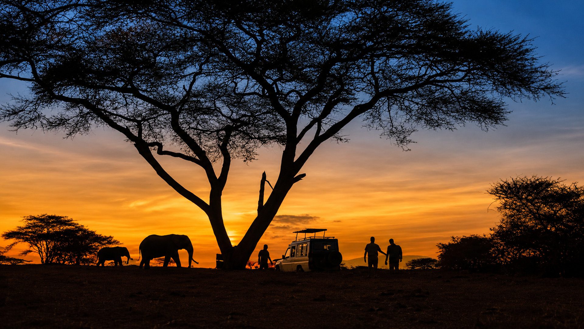 tanzania november honeymoon