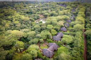 Aerial-View-at-The-Retreat-at-Ngorongoro