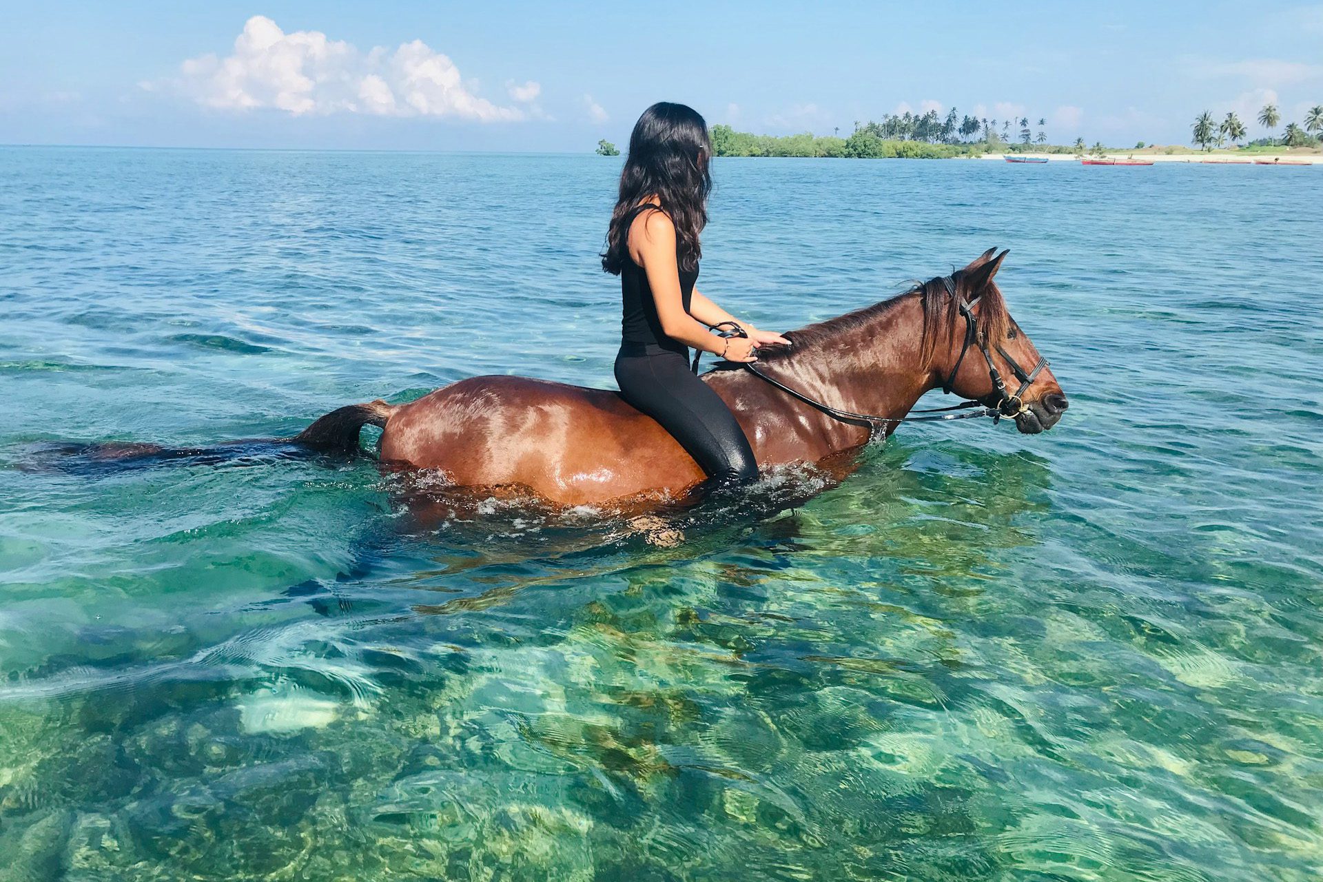 horse riding at the beach zanzibar