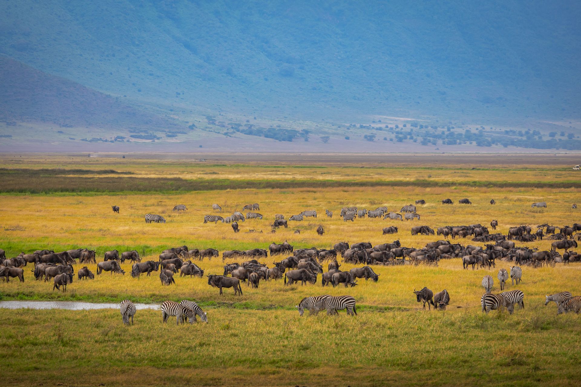 julius nyerere national park