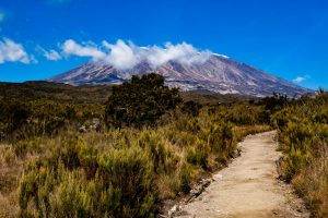 mt kilimanjaro tanzania