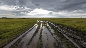muddy road on safari