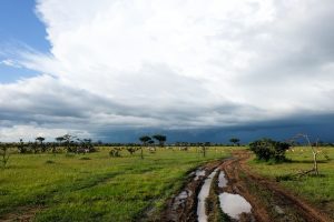 muddy safari route