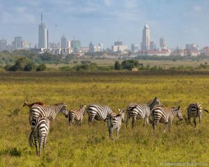 nairobi national park
