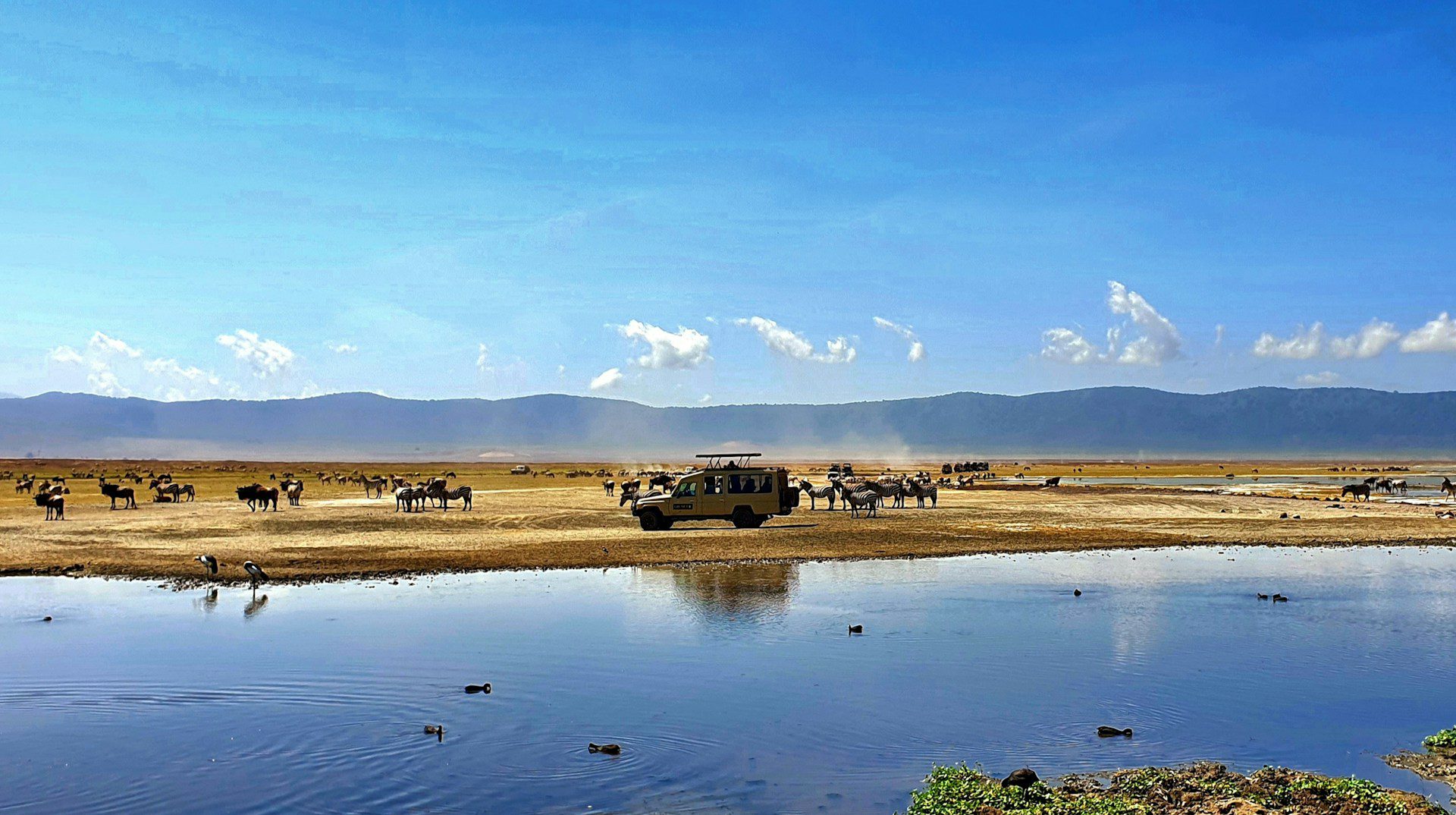 January through December, followed by best months for dry weather, green scenery, photography, fewer vehicles, families and combining Ngorongoro with the Serengeti.
