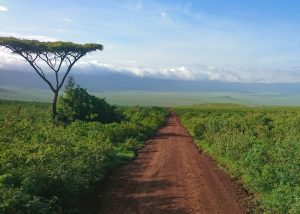 road to the ngorongoro crater