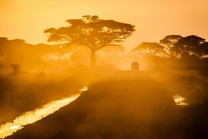 safari road tanzania