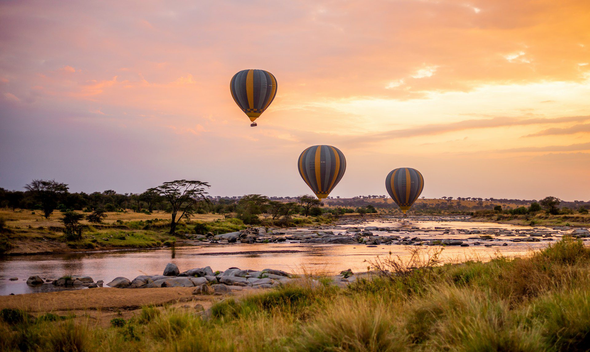 serengeti national park
