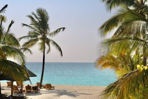 zanzibar blue waters