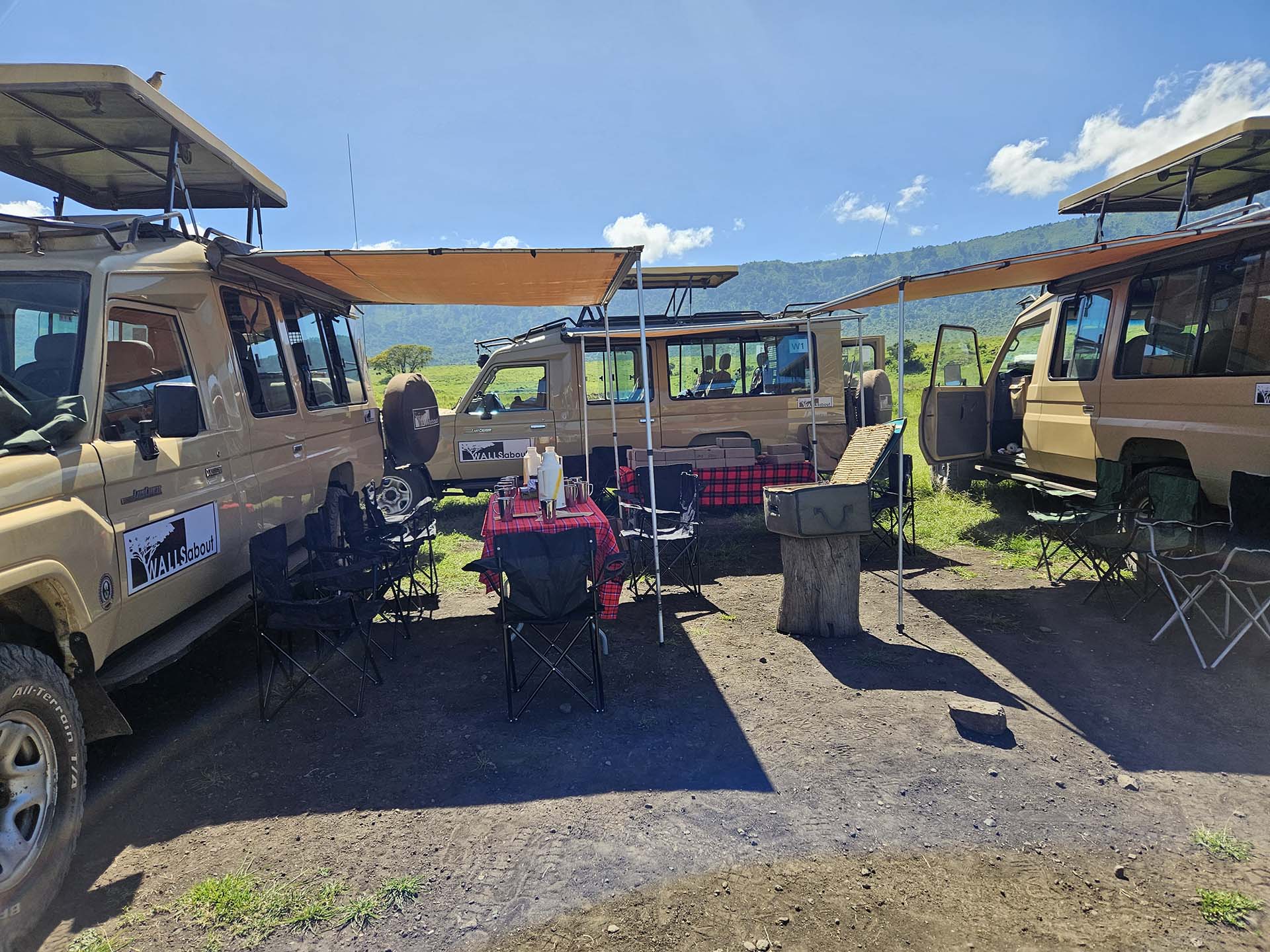 Picnic in the wild tanzania safari