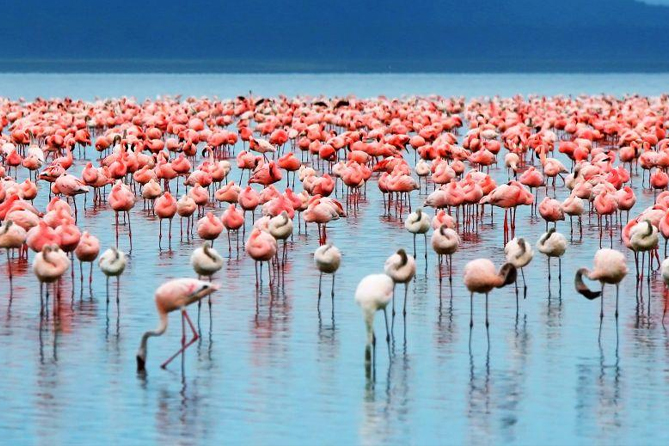 Lake Manyara National Park
