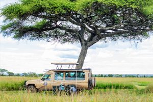 Roy Safaris Tour Van
