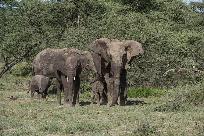 Bespoke Crafted Experiences