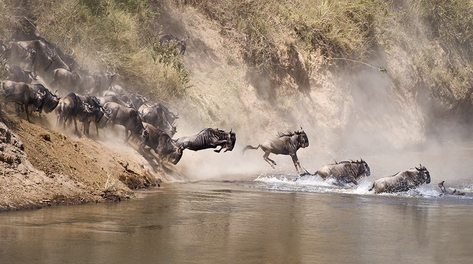 RS-110 9 Nights / 10 Days Magical Ndutu & Serengeti Safari
